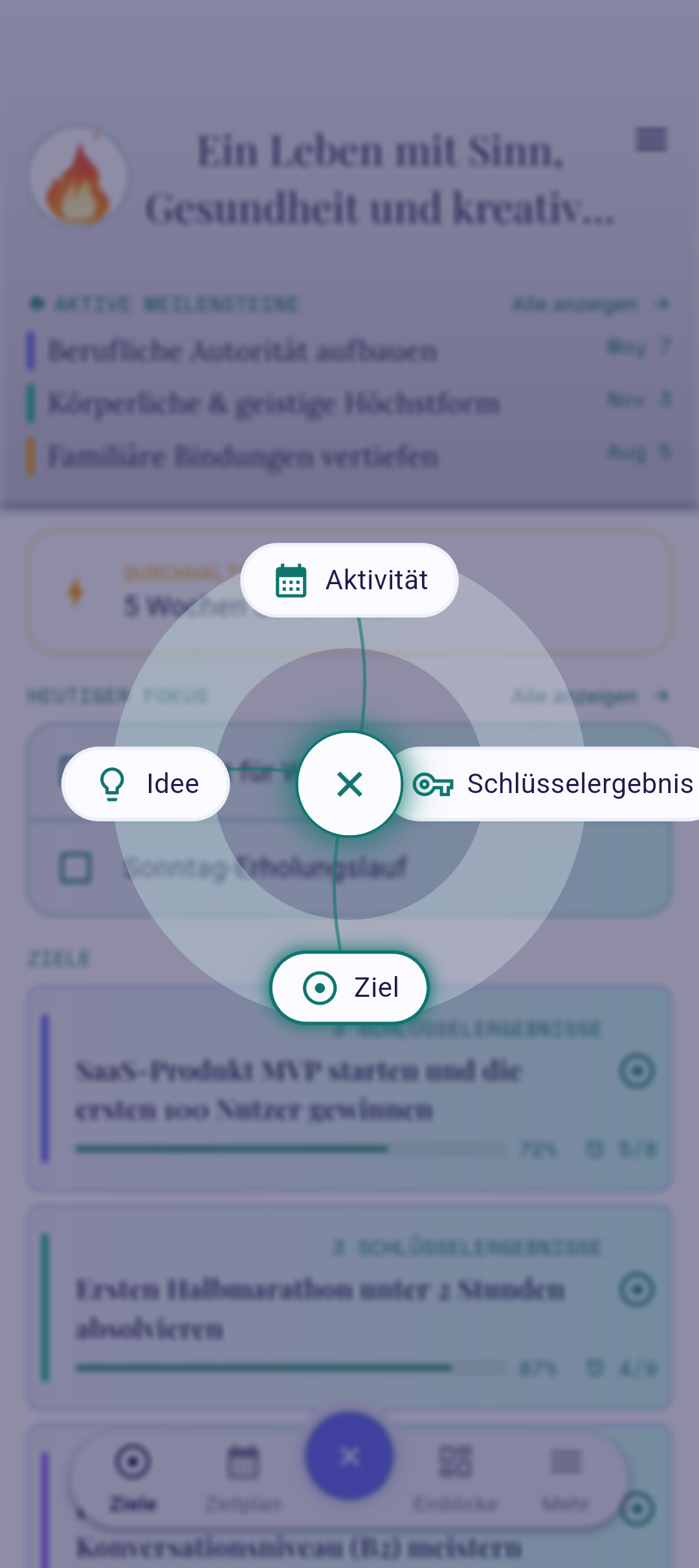 QuickPlus-Dial mit hervorgehobener Option „Idee"